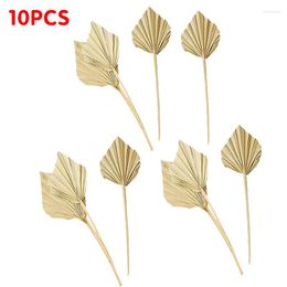 Decorative Flowers 10 Pcs Natural Dried Palm Leaves Fans For Room Home Wedding Decor