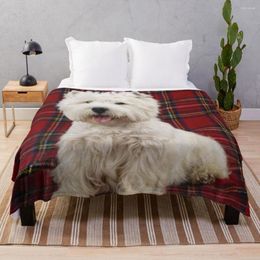 Blankets West Highland White Terrier On A Plaid Throw Blanket Camping Fluffy Large