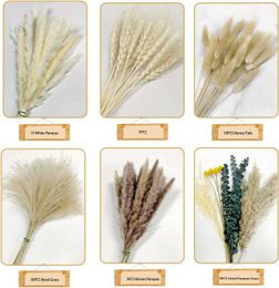 Dried Flowers Real Small Grass Bunch Natural Plants Home Decor Phragmites Flower Ornamental Wedding 76pcs