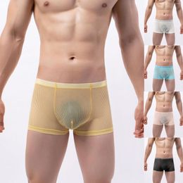 Underpants Sexy Mens Transparent Boxer Man See Through Underwear Mesh Sheer Penis Pouch Boxers Briefs Male Breathable Low Waist