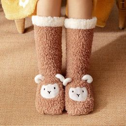 Women Socks Winter Fashion Bedroom For Wearing H Carpet Thickened Sleep Snow Pantyhose