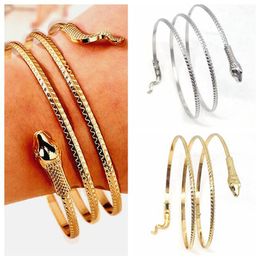 10pcs 70mm diameter Punk Snake Charm BangleFashion Bracelets metal Wristbands Whole Style Mixed Jewellery Lots153C