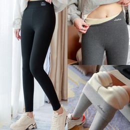 Women's Leggings Ribbed For Winter Comfortable And Stylish Women High Waist Legging