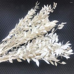 Decorative Flowers 20/40g Natural Ruscus Leaves Preserved Eucalyptus Dried Flower White Grass Bouque For Home Living Room Decor Wedding
