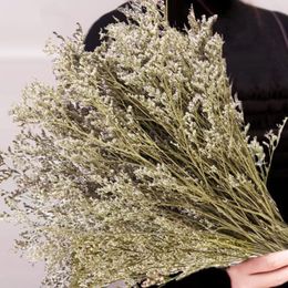 Decorative Flowers Preserved Natural Limonium Bouquet Lover's Grass Dried Flower Sea Lavender For Wedding Home Decor Gift Mother Rustic