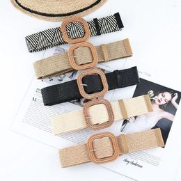 Belts Women Bohemian Casual Straw Belt Braided Waistbelt Wide Waist