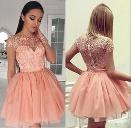 Novo tule rosa manga comprida doce 16 festas apliques de renda curta mini vestidos de regresso a casa