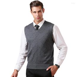 Men's Sweaters Autumn Slim Knitted Pullovers Men V-Neck Sleeveless Formal Business Pull Homme Casual Solid Vest