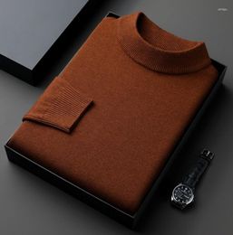 Men's Sweaters Casual Anti-pilling High Quality Knit Sweater Shirt Slim Fit Long Sleeve Pullover Trend Men Clothing