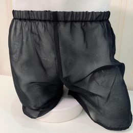 Underpants Sexy Men Sissy Boxers See-Through Silky Underwear Ultra-thin Mesh Long Briefs Solid Breath Casual Shorts Trunks