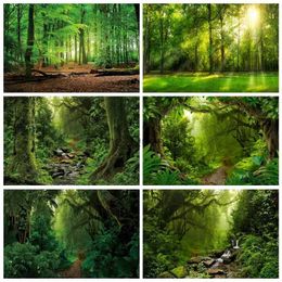 Background Material Tropical Forest Scenery Backdrop Photography Baby Shower Green Leaves Adventure Wedding Photo Photographic Room Decor Background YQ231003