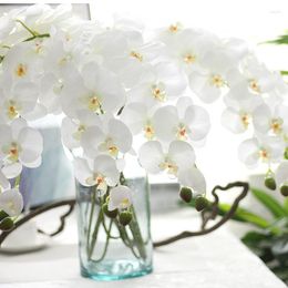Decorative Flowers Artificial Real Touch Latex Moth Orchids Phalaenopsis Flower Branch Wedding Home Office Table