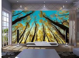 Wallpapers Home Decoration Custom 3d Wallpaper Sunset Forest TV Backdrop Wall Mural Po