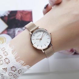 Wristwatches Women Fashion Trendy Watch Ultrathin Classic Ladies Gold Hour Milanese Mesh Stainless Steel Band Simple Reloj Girl Birthday