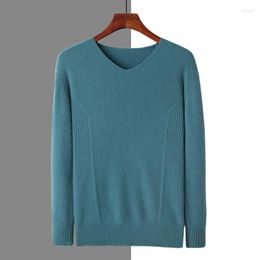 Men's Sweaters Autumn/winter Pure Mink Cashmere Sweater V-neck Pullover Knitted Plus Size Long Sleeve High-end