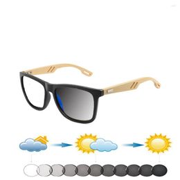 Sunglasses Square Bamboo Wood Oversized Frame Comfortable Pochromic Reading Glasses 0.75 To 4