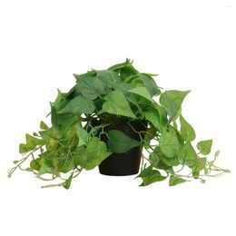 Decorative Flowers Faux Plants In Pot Indoor Artificial For Home Decor With Pothos Small Fake Plant And F