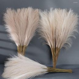 Decorative Flowers 55cm Artificial Reed Pampas Grass Setaria Nordic Simple Wind Window Decoration Wedding Tabletop DIY Landscaping