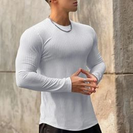 Spring Autumn Korean Versatile Elastic Stripe Solid Round Neck T shirt Men Screw Thread Sports Training Slim Long Sleeve Top 231005