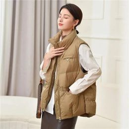 Women's Vests 2023 Korean Vest Jacket Down Cotton Autumn Winter Parkas Female Casual Sleeveless Loose Waistcoat Ladies Tops