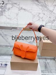 Shoulder Bags Bags Bags Designer Shoulder Bag High Quality Pure Colour Bags Retro Cloudy Handbags Supper Soft Real Leather10blieberryeyes