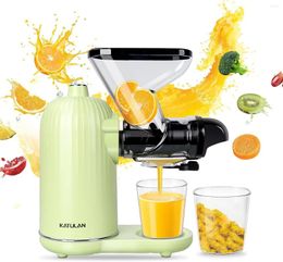Juicers Slow Juicer Cold Press Machines With Auto-adjustable Speed For Nutrient & Vitamin Dense Fruits And Vegetables Easy