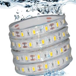 5M RGB 5050 LED Strip IP68 Waterproof 12V 60LED M Use Underwater for Swimming Pool Fish Tank Bathroom Outdoor With 44keys Remote C209m