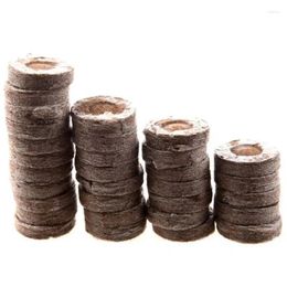 Planters 200Pcs Professional Peat Pellets Plant Starting Soil Block Jiffy Seedling Plugs Environmental Garden Nursery