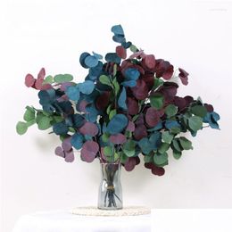 Decorative Flowers Wreaths 50/100G 30-45Cm Natural Eucalyptus Stems Dried Flower Real Apple Leaf Home Decoration Garden Farmhouse Deco Dhfzh