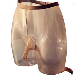 Men's Socks Men Oil Glossy Ultra Thin Sheer 1D Pantyhose With Penis Trunk Sheath Stockings Nylons Tights Hosiery Sissy Underw271F