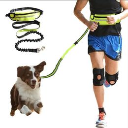 Dog Collars Leashes Hands Free Dog Leash for Running Walking Reflective Leash with Waist Bag Retractable Elastic Belt Dog Traction Rope Pet Products 231005