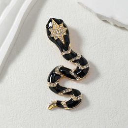 Designer Luxury Brooch Exaggerated Alloy Water Diamond Drip Oil Enamel Snake Animal Breast Pin Clothing Accessories for Men and Women Small Breast Flower