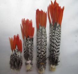 Other Hand Tools Natural Golden pheasant Tail Feather 100pcslot 5-30 cm Long Red tip Lady Amherst Pheasant plume jewelry clothing 231005