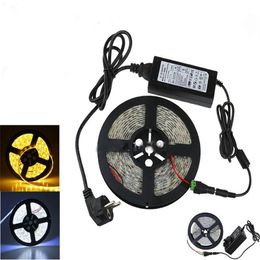 12V Flexible LED strip light 5M 300 LED 5630 5050 3528 SMD DC Connecter 12V 6A Power Supply Adapter Cold Warm White Blue Red Gre217S