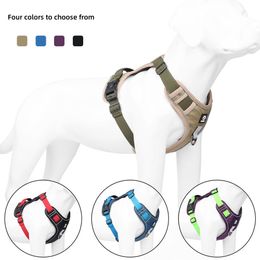 designer dog collar Dog collars and leash reflective night design