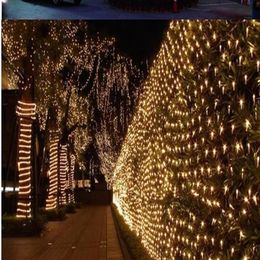 6M 3M 640LED 3M 2M210LED net lights festival outdoor garden light 110V 220V Lights Christmas Wedding Square Park Decoration299p