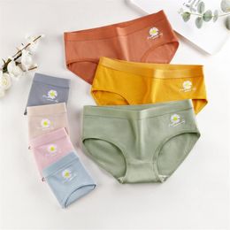 12pcs lot Women Underwear Summer Small Fresh Ladies Underwear Antibacterial Small Daisy Cotton Women Panties Girls Sweet Briefs221j