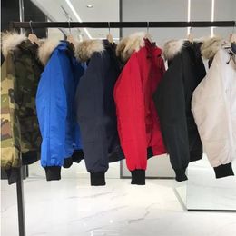 winter mens down parkas Outerwear Wolf Fur Hooded Jacket Coat zipper outwear coats Top vest219V