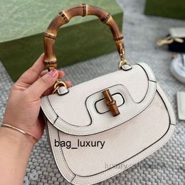 shoulder bag Bag Evening Bags Messenger Shoulder Bags Designer Mini Diana Bamboo Handbags Flap Crobody Clutch Canvas Leather Purse Wallets Bag Claic Letter Prints D