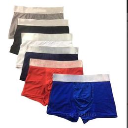 5pcs lot Mens Underwear Boxer Shorts Modal Sexy Gay Male Boxers Underpants Breathable New Mesh Man Underwear M-XXL High Quality256S