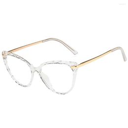 Sunglasses 1 Pair Women Glasses Triangular Universal HD Stylish Fashionable Eyewear