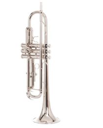 SADSN STR-180N Bb Trumpet Brass Nickel Plated B Flat Trumpet Professional Musical Instrument with Mouthpiece Case