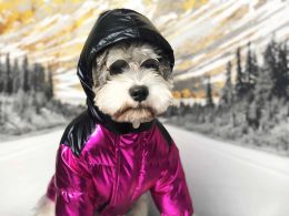 Dog Apperal 2 Colors Winter Popular Ski Suit Pet Down Jacket Puffer Cool Handsome Dog Coat Poodle Drop Ship