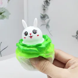 Squishy Cabbage Cup Rabbit Squeeze Balls Pig Cabbage Stress Fidget Toys Pop Up Squishy Rabbit in Cabbage Miniature Sensory Toys