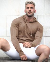 Men's T Shirts Spring And Autumn Style Fitness Sports Clothing Outdoors Training Knitted Long Sleeve Hoodie Hooded Pullover M-3 XL