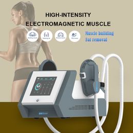 Emslim Muscle Build Machine Body Sculpt Ems Muscle Abs Stimulator Weight Loss Slim Device