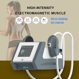 Ems Body Muscle Emslim Neo RF Electromagnetic Abs Stimulator Muscle Toner Physiotherapy Machine