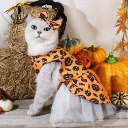 Cat Costumes Halloween Orange Black Fashion Pets Dress Pumpkin Bat Dresses Costume For Dogs Party Cats Cosplay