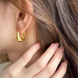 Hoop Earrings 925 Silver Needle Piercing Chunky For Women Punk Ear Jewellery Wholesale Eh109