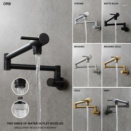 Kitchen Faucets Chromium Nickel Black Gold Brass Pot Mounted Wall Faucet Single Cooling Hole Rotary Folding